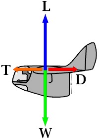 Theory/Forces